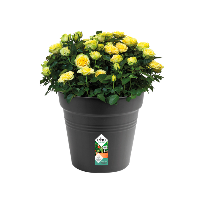 green basics anzuchttopf 40cm living schwarz